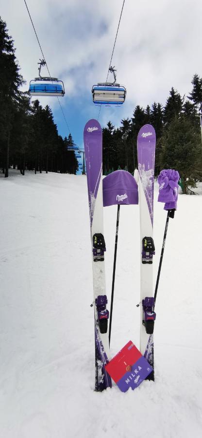 Apartament Milka Duszniki Zdroj Bagian luar foto
