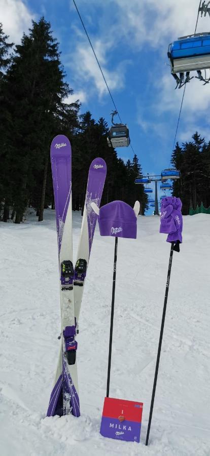 Apartament Milka Duszniki Zdroj Bagian luar foto